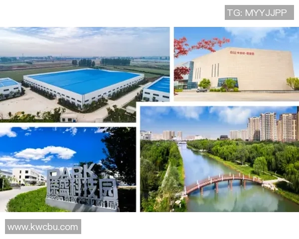 廖力生调度创新实践助力企业高效运营与团队协作提升