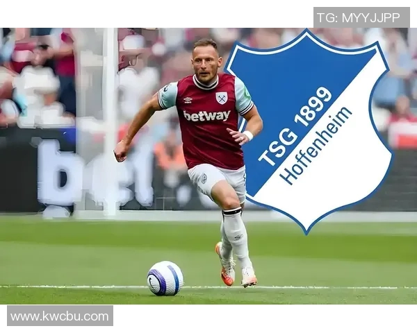 拜仁客场惊艳表现,大胜霍芬海姆,震撼德甲赛场 拜仁客场惊艳表现,大胜霍芬海姆,震撼德甲赛场